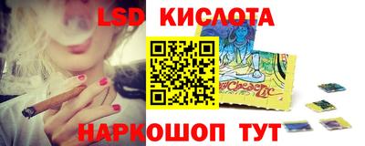 МДПВ Новозыбков