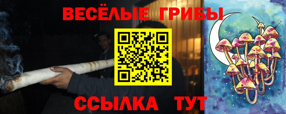 Обь  Галлюциногенные грибы GOLDEN TEACHER  Галлюциногенные грибы MAGIC MUSHROOMS  Вход с VPN 